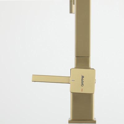 Gappo G4395-53 (золотой) (18)